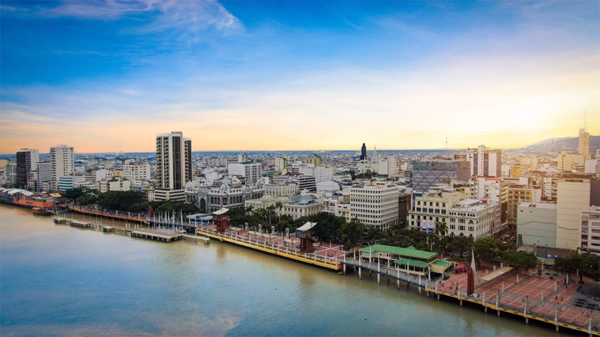 Guía para elegir agencia de marketing digital en Guayaquil Ecuador